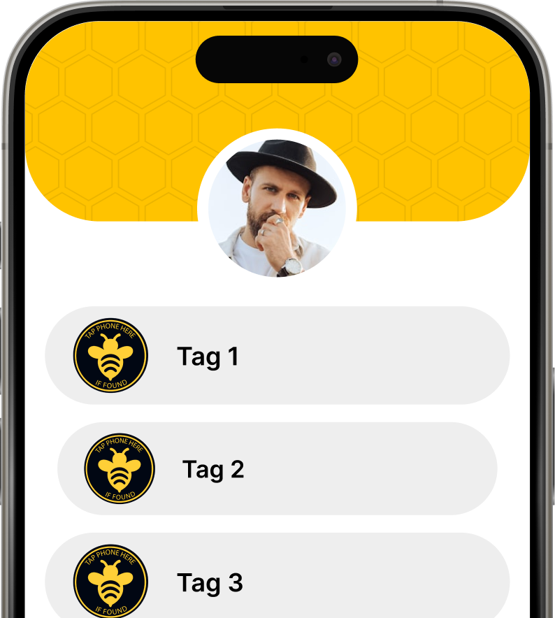 Tagaby App interface