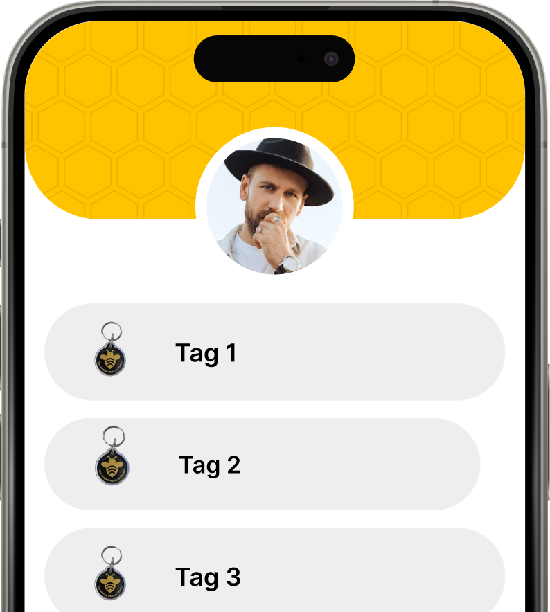 Tagaby App interface
